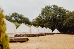 Nuit insolite - Bonjour Fun