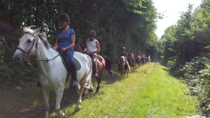 2H EN FORET - Bonjour Fun