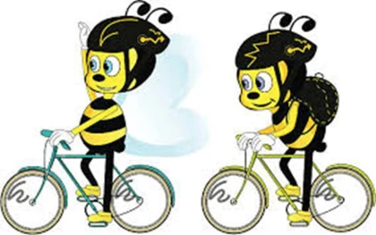 3h de découverte de l'abeille dans le Luberon - Bonjour Fun