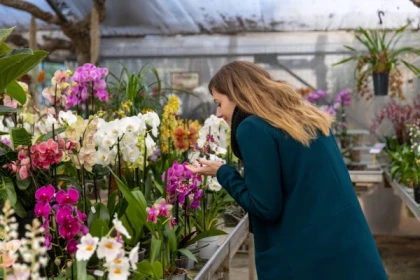 A la découverte du monde magique des orchidées - Bonjour Fun