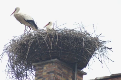 Alsace village & wine private group tour from Strasbourg - Bonjour Fun