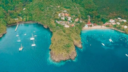 Anses du Grand Sud Caraïbe - Tortue - Enfant moins de 12 ans - Bonjour Fun
