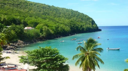 Anses du Grand Sud Caraïbe - Tortue - Bonjour Fun