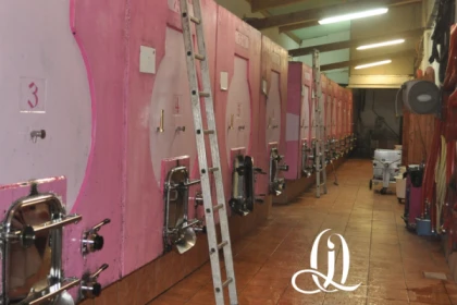 Apéro Dégustation : coucher de soleil avec vue sur les vignes - Bonjour Fun