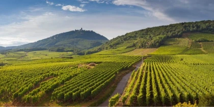 Apéro gourmand du 04 juillet - Que notre Alsace est belle! - Bonjour Fun