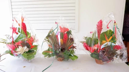 Art an design floral - Bonjour Fun