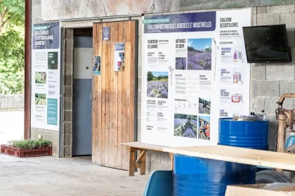 Atelier aromathérapie - Bonjour Fun