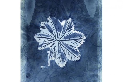 Atelier artistique - Impression au Cyanotype - Bonjour Fun