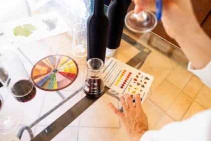 Atelier Assemblage - Bonjour Fun