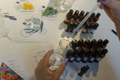 Atelier Brume naturelle (selon saison) - Bonjour Fun