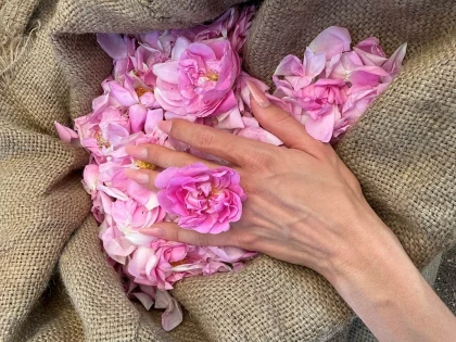 Atelier Cueillette et Distillation - Bonjour Fun