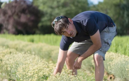 Atelier De la plante au Parfum - Bonjour Fun
