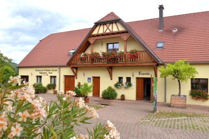 Atelier Découverte des Vins d'Alsace et Visite de Cave - Bonjour Fun