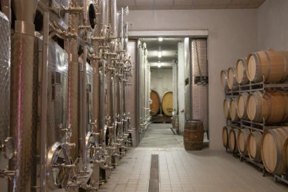 Atelier Découverte des Vins d'Alsace et Visite de Cave - Bonjour Fun