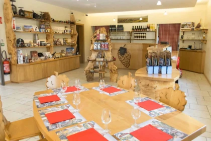 Atelier Découverte des Vins d'Alsace et Visite de Cave - Bonjour Fun
