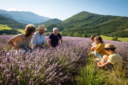 Atelier distillation - interne - Bonjour Fun