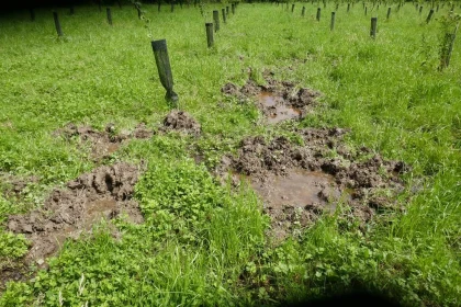 Atelier « Qui passe par là ? Enquête sur les traces et indices de présence » - Bonjour Fun