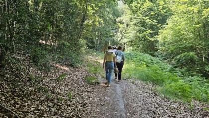 Bain de forêt ;  plongée en immersion  et déconnectez vous - Bonjour Fun