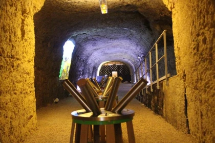 Balade à Amboise : exploration œnologique et culturelle en vélo électrique - Bonjour Fun
