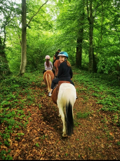 Balade à Poney dans le Beauvaisis - Bonjour Fun