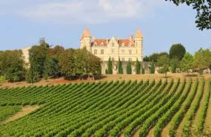 Balade au milieu des vignes et cultures à Moncassin - Bonjour Fun