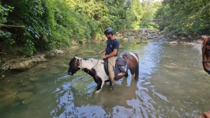 Balade aventure 2h - Bonjour Fun