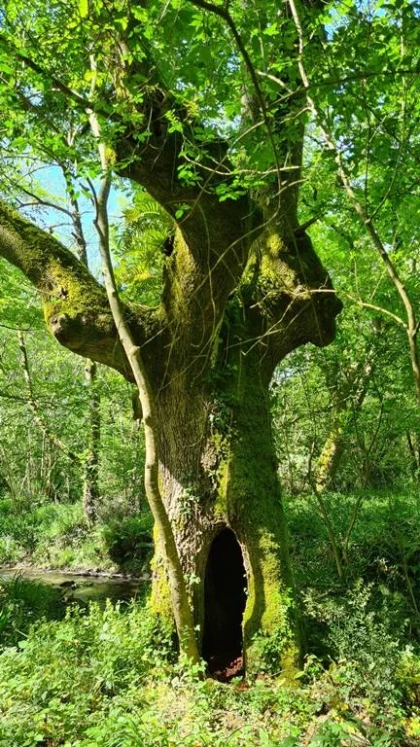 Balade biodiversité au verger - Bonjour Fun