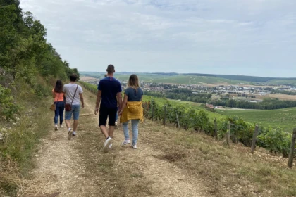 Balade dans le Vignoble et dégustation des vins - Bonjour Fun