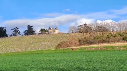 Balade dans les vignes de Château de Salles - Bonjour Fun
