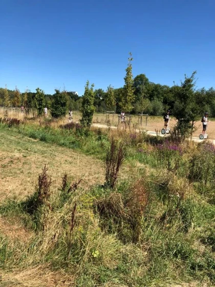 Balade découvertes aux prairies Saint Martin , Rennes. - Bonjour Fun