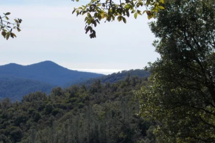 Balade demi-journée "Vue mer et montagne" - Bonjour Fun