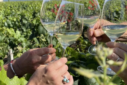 Balade des Grands Crus en e-Mehari et dégustation de Chablis - Bonjour Fun