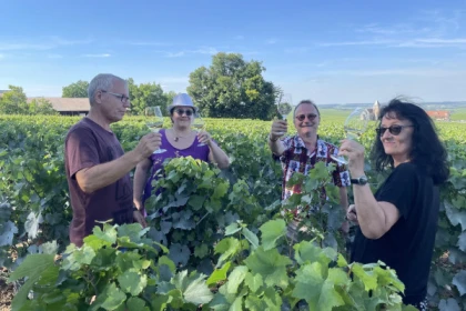 Balade des Grands Crus en e-Mehari et dégustation de Chablis - Bonjour Fun