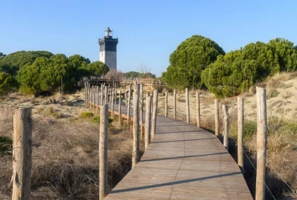 Balade en Camargue : Du Grau du Roi au Phare de l’Espiguette en vélo électrique - Bonjour Fun