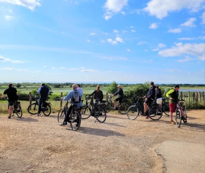 Balade en Petite Camargue : la découverte des trésors de la Camargue Gardoise en vélo électrique - Bonjour Fun