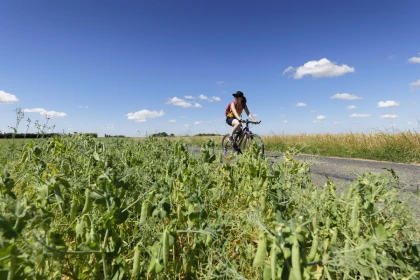 Balade guidée à vélo à Labosse - Bonjour Fun