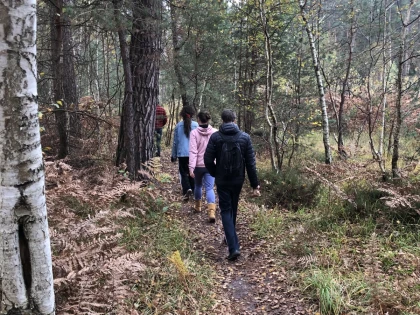 Balade immersive en forêt – Tous les sens en éveil ! - Bonjour Fun