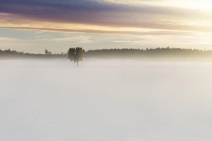 Balade le Jour de l'An au Champ du Feu - Bonjour Fun