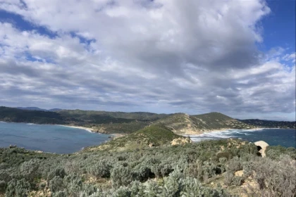 Balade naturaliste au Cap Taillat - Bonjour Fun