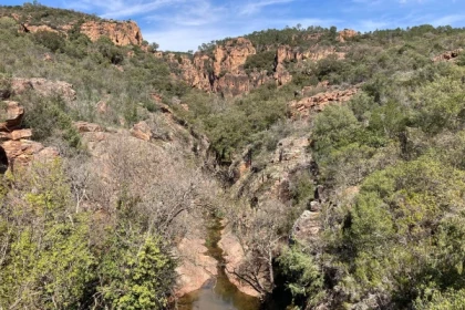 Balade naturaliste de l'homo Bouvérien - Bonjour Fun