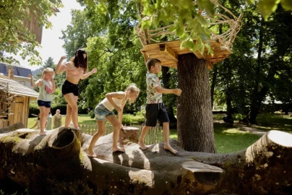 Billet d'entrée - Parc de Wesserling - Bonjour Fun