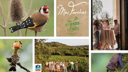 Biodiversité & Pause Gourmande - Bonjour Fun