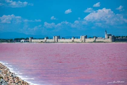 Camargue en vélo électrique : Au cœur des Salins d'Aigues-Mortes - Bonjour Fun