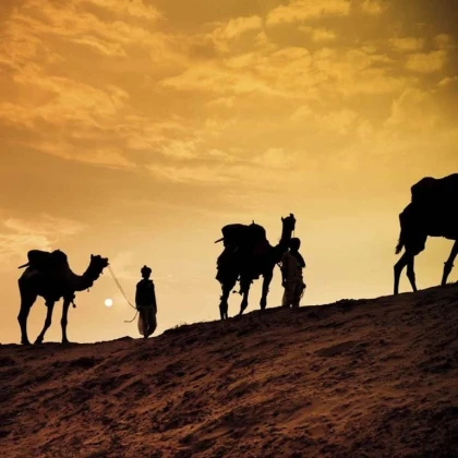 Camel Barbecue - Coucher de soleil + Diner - Bonjour Fun