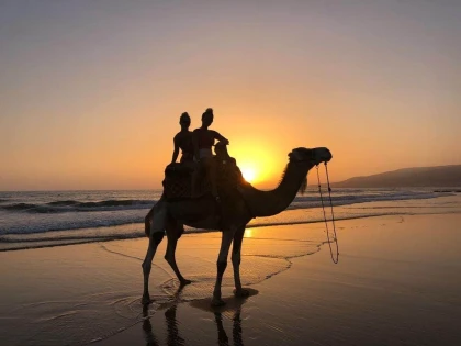 Camel Barbecue - Coucher de soleil + Diner - Bonjour Fun