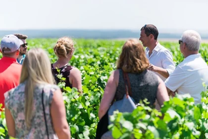 Chablis Davenne tour and tasting in English - Bonjour Fun