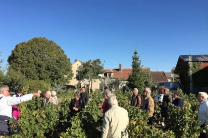 Chablis Davenne tour and tasting in English - Bonjour Fun