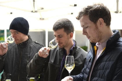 Chablis tasting at Domaine Clotilde Davenne in english - Bonjour Fun