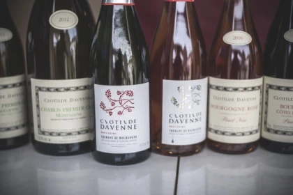 Chablis tasting at Domaine Clotilde Davenne in english - Bonjour Fun