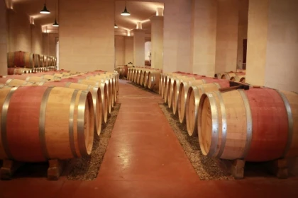 Château Lestrille - Dégustation - Bonjour Fun